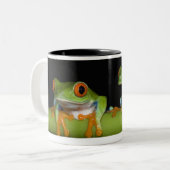 Roodbeige boomkikkers (Agalychnis callidryas) Tweekleurige Koffiemok (Voorkant links)