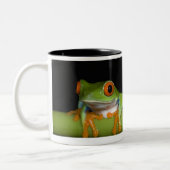 Roodbeige boomkikkers (Agalychnis callidryas) Tweekleurige Koffiemok (Links)