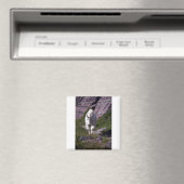 Roodberggeit Magneet (Insitu (Vaatwasser))