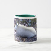 Roodberggeit Mok (Midden)