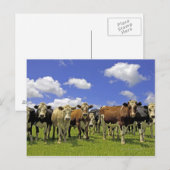 Roodbeslag en overhemd briefkaart (Voorkant / Achterkant)