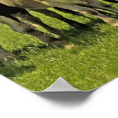 Roodbeslag en overhemd poster (Hoek)