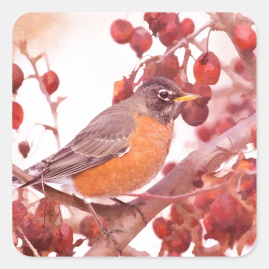 Roodbesrobin Vierkante Sticker (Voorkant)