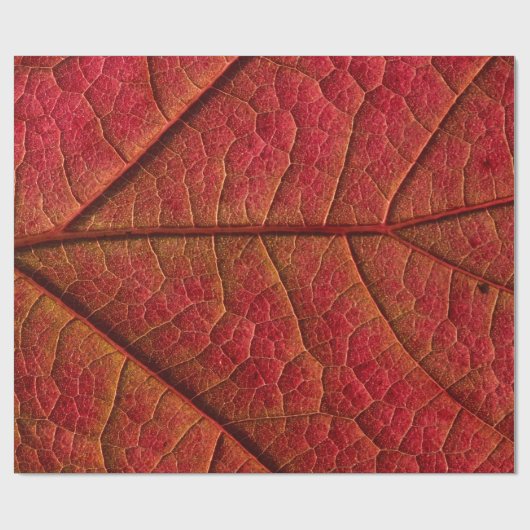 Roodblad Cadeaupapier (Vlak)