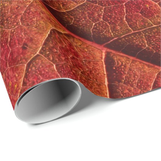 Roodblad Cadeaupapier (Rol Hoek)