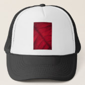 Roodblad Trucker Pet (Voorkant)