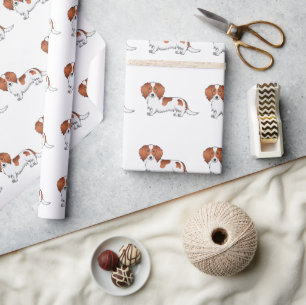 Roodbonte Langharige Dachshond Cartoonhond Patroon Cadeaupapier