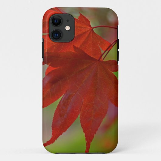 Roodboombladeren Case-Mate iPhone Case (Achterkant)
