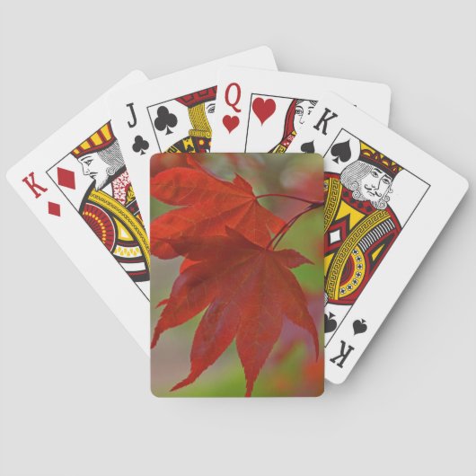 Roodboombladeren Pokerkaarten (Achterkant)