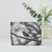 Roodborst  briefkaart (Staand voorkant)