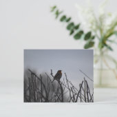 Roodborst Briefkaart (Staand voorkant)