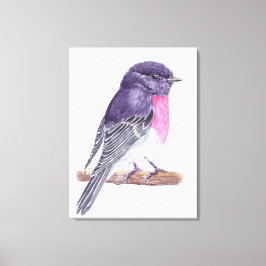Roodborst Canvas Afdruk