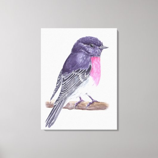 Roodborst Canvas Afdruk (Voorkant)