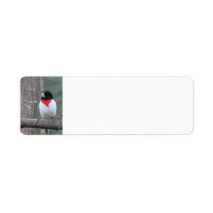 Roodborst Etiket
