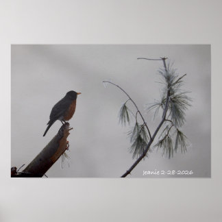 Roodborst in de Winter Poster