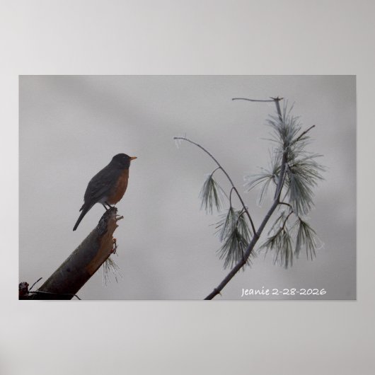 Roodborst in de Winter Poster (Voorkant)