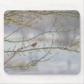 Roodborst muismat (Voorkant)