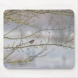 Roodborst muismat