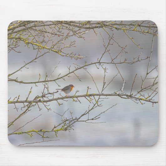 Roodborst muismat (Voorkant)