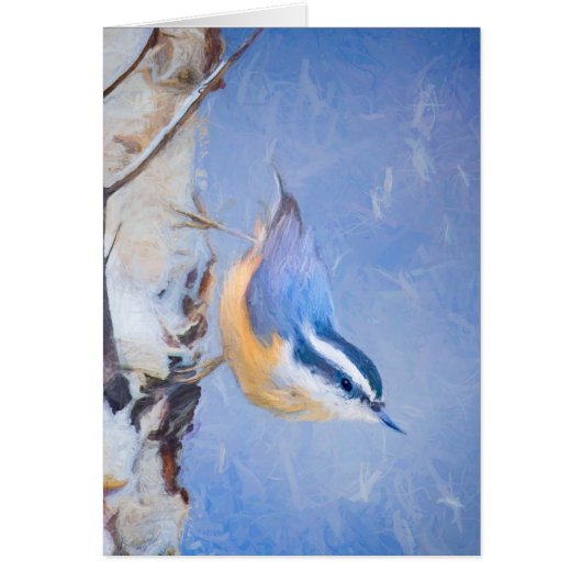 Roodborst Nuthatch schilderij Originele Vogelkunst (Voorkant)