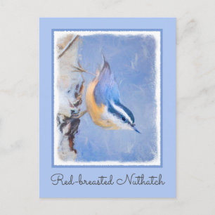 Roodborst Nuthatch schilderij Originele Vogelkunst Briefkaart