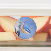 Roodborst Nuthatch schilderij Originele Vogelkunst Labels (Aangebracht)