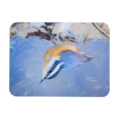 Roodborst Nuthatch schilderij Originele Vogelkunst Magneet (Horizontaal)