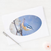Roodborst Nuthatch schilderij Originele Vogelkunst Ovale Sticker (Envelop)