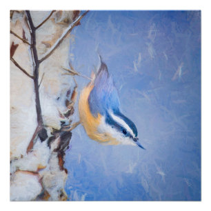 Roodborst Nuthatch schilderij Originele Vogelkunst Perfect Poster
