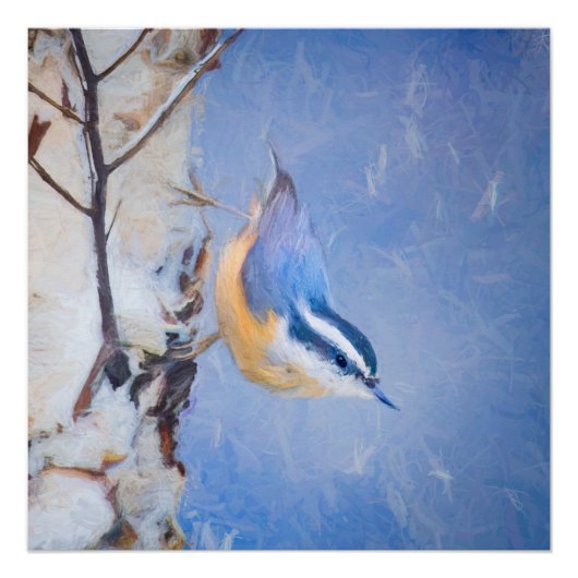 Roodborst Nuthatch schilderij Originele Vogelkunst Perfect Poster (Voorkant)