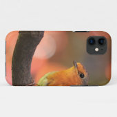 Roodborst op een tak Case-Mate iPhone case (Achterkant (horizontaal))