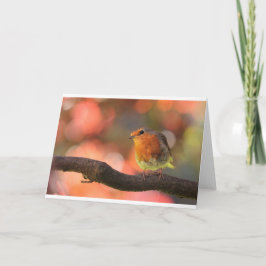 Roodborst op een tak feestdagen kaart
