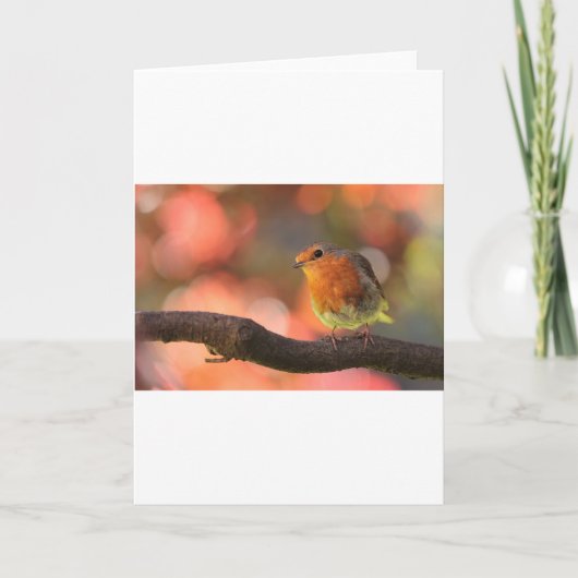 Roodborst op een tak feestdagen kaart (Voorkant)