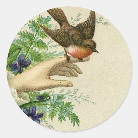 Roodborst op hand ronde sticker (Voorkant)