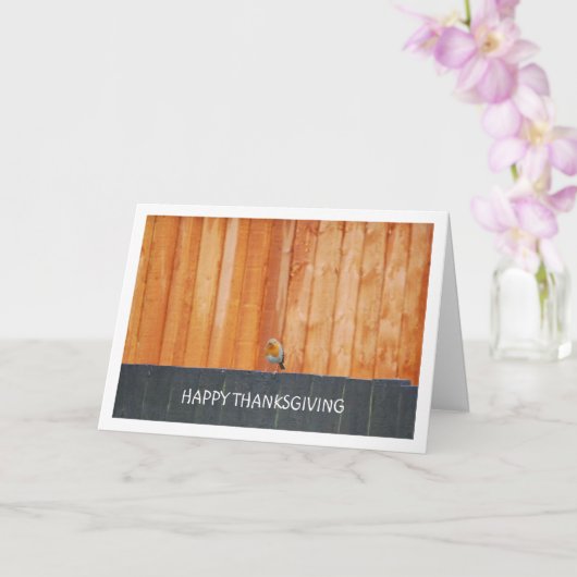 Roodborst op hek kaart (Orchidee)