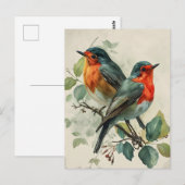  roodborst Robin Briefkaart (Voorkant / Achterkant)