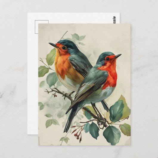 roodborst Robin Briefkaart (Voorkant / Achterkant)