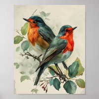 roodborst Robin