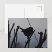 Roodborstje briefkaart (Voorkant / Achterkant)