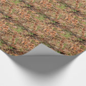 Roodborstje Cadeaupapier (Hoek)