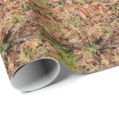 Roodborstje Cadeaupapier (Rol Hoek)
