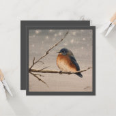 Roodborstje in de sneeuw  kaart (Voorkant / Achterkant in situ)