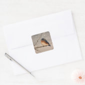 Roodborstje in de Sneeuw Vierkante Sticker (Envelop)