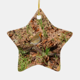 Roodborstje Keramisch Ornament