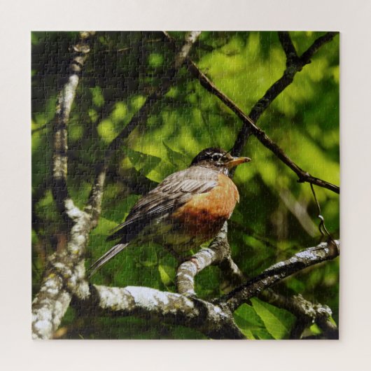 Roodborstje Legpuzzel (Verticaal)