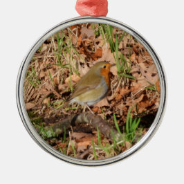 Roodborstje Metalen Ornament