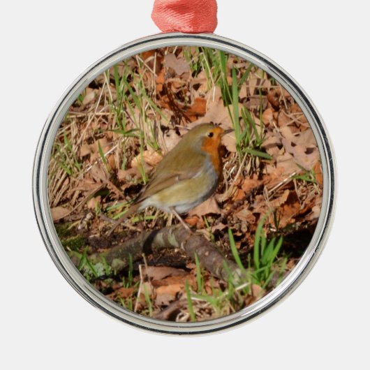 Roodborstje Metalen Ornament (Voorkant)