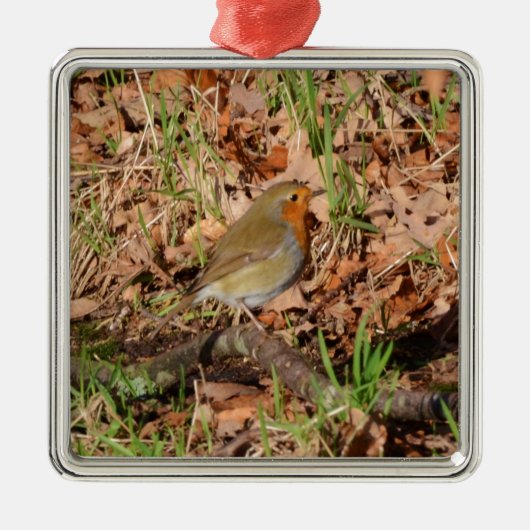 Roodborstje Metalen Ornament (Voorkant)