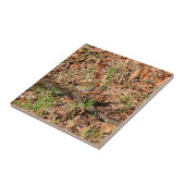 Roodborstje Tegeltje (Zijkant)
