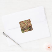 Roodborstje Vierkante Sticker (Envelop)
